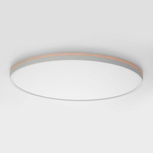 Потолочный светильник Citilux NORMA CL749500 Потолочный светильник Citilux NORMA CL749500