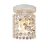 Потолочный светильник Seven Fires Denes WD3568/1C-WG-CL