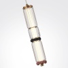 Подвесной светильник Odeon Light Collier L-Vision 5455/12L