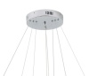 Подвесная светодиодная люстра Zortes RINGOLIGHT ZRS.33321.120C