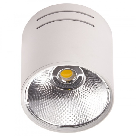 Потолочный светодиодный светильник IMEX IL.0005.4015