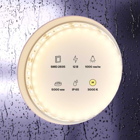Светодиодная лента Standard Maytoni Led Strip 10111
