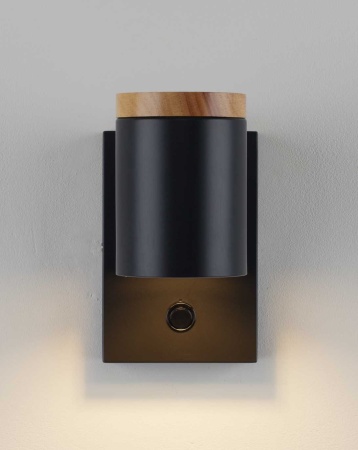 Светильник настенный Moderli Asheswood V11291-1W