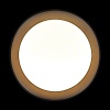 Потолочный светильник Loft it Coin 10202 BB
