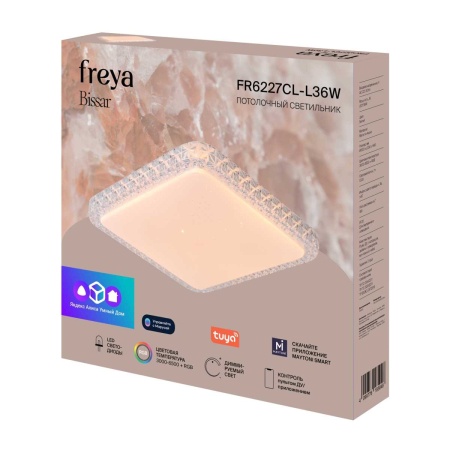 Потолочный светильник Freya Биссар / Bissar FR6227CL-L36W