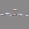 Светильник потолочный Reluce 03335-0.3-06 WH+WOOD