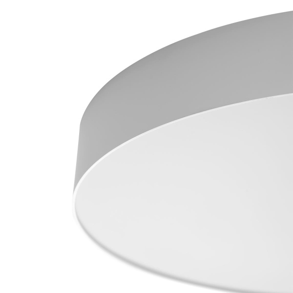 Светильник потолочный Citilux BART CL755490