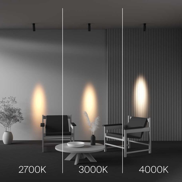Потолочный светильник Maytoni Technical C055CL-L12W2.7K-SS-B