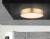 Потолочный светодиодный светильник Globo Amy 15187D1