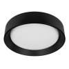 Потолочный светильник Loft it Coin 10202 BB