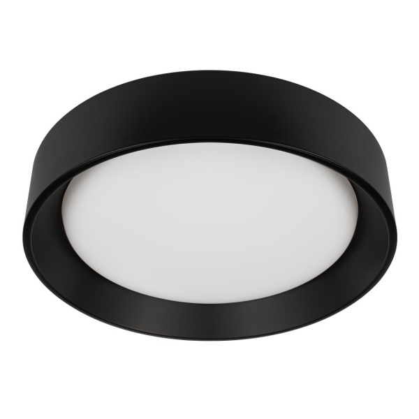 Потолочный светильник Loft it Coin 10202 BB