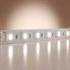 Светодиодная лента Maytoni Led Strip 201191