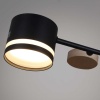 Люстра Reluce 68730-0.3-08 GX53 BK+WOOD