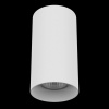 Потолочный светильник Lightstar Rullo 216486