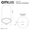 Потолочный светильник Citilux Axel CL512110