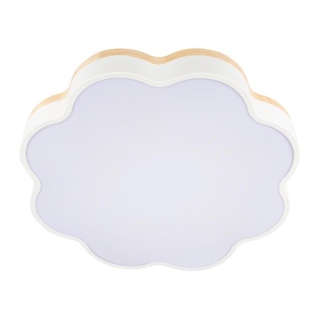 Потолочный светодиодный светильник Loft IT Axel 10225/36 White