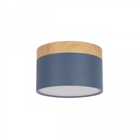 Накладной светодиодный светильник Loft IT Grape 10162 Blue