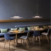 Подвесной светодиодный светильник Imperium Loft Spacenet 177843-26