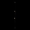 Подвесной светильник Loft IT Parentesi 10346/2 Black