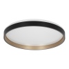 Светильник потолочный Citilux ENZO CL753511G