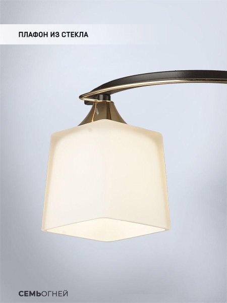 Потолочная люстра Seven Fires Birti WD3513/2C-CF-FGD-WT