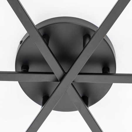 Потолочная люстра Citilux Glob CL209291