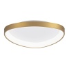 Потолочный светодиодный светильник Citilux Genka Smart CL756A142