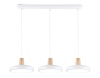 Светильник подвесной Ambrella light COMFORT FL4840