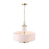 Подвесная люстра ST Luce Opalus SL1403.303.05