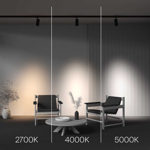 Трековый светодиодный светильник Maytoni Technical Focus Led TR197-3-30WCCT-M-B