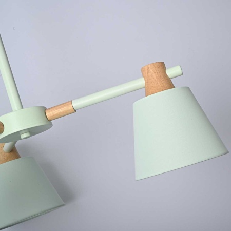 Подвесная люстра Imperium Loft Natura 101824-26