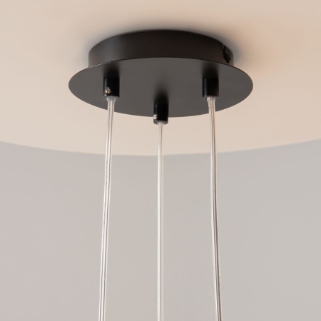 Подвесная люстра Maytoni Vigo MOD031PL-24B