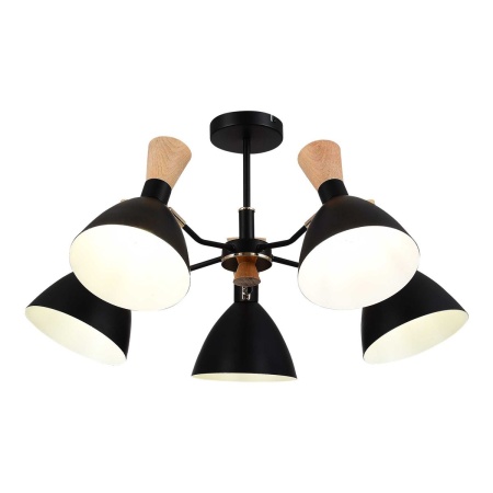 Потолочная люстра Evoluce Vista SLE1256-402-05