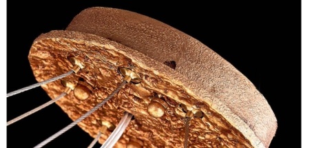 Подвесная люстра Imperium Loft Fairytree 144171-22