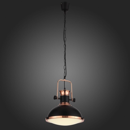 Подвесной светильник ST Luce Lanterio SL404.403.01