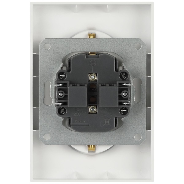 Розетка ЭРА Arktik 16-2105-08 двойная с заземлением 2X2P+E Schuko со шторками 16А-250В белый матовый Б0070461