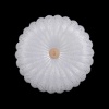 Потолочный светильник Crystal Lux SOLARIS PL400