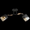Потолочный светильник Reluce 04868-0.3-02 BK+WOOD