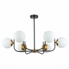 Потолочная люстра Evoluce Ciane SLE1098-402-06