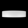 Потолочный светильник Loft it Coin 10202 WB