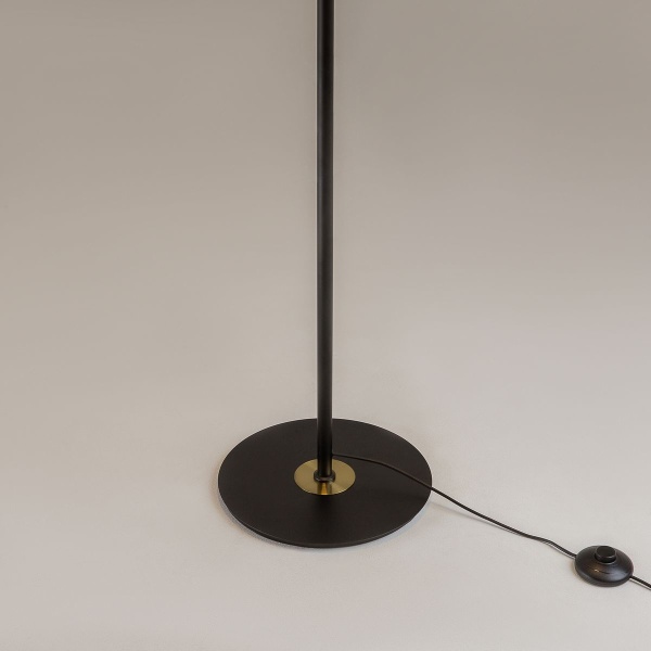 Торшер Maytoni MOD348FL-L24BBS3K