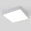 Потолочный светодиодный светильник Elektrostandard DLS034 18W 4200K a043017