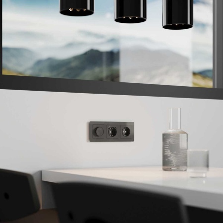 Диммер Werkel графит акрил W1142044 4690389197499