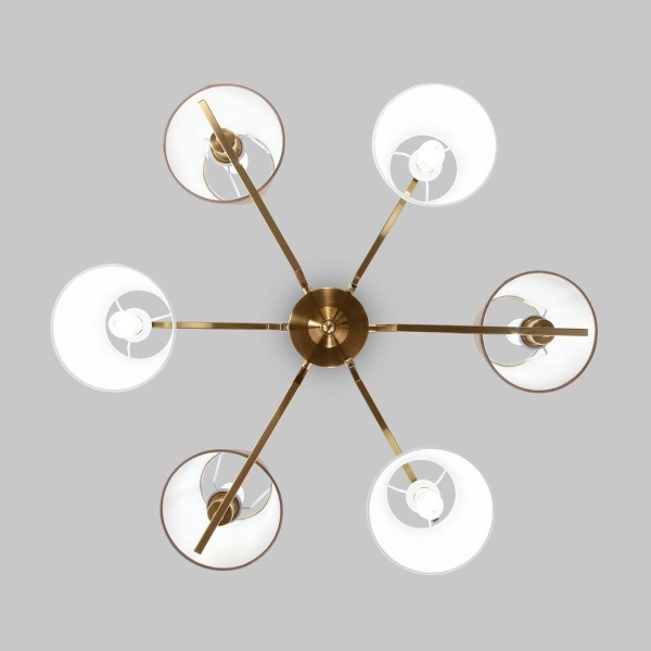 Потолочная люстра Eurosvet Ozark 60149/6 латунь