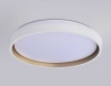 Потолочный светодиодный светильник Ambrella light Orbital Dance FZ607