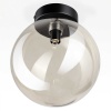 Светильник Citilux ORTON CL202511