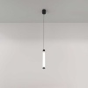 Подвесной светильник Maytoni Ray P022PL-L10B