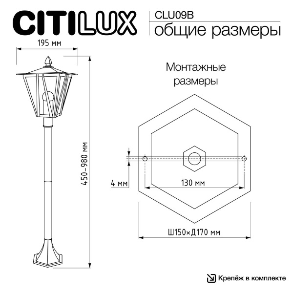 Садово-парковый светильник Citilux Forts CLU09B