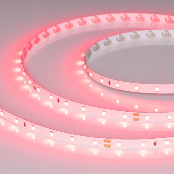 Светодиодная лента Alright RT-A60-8mm 24V Ruby (4.8 W/m, IP20, 5m) 055374