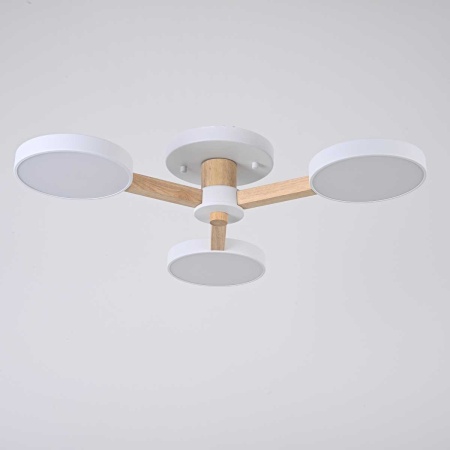 Потолочная люстра Imperium Loft Turna 102157-26